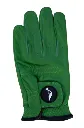 Hooked Mens Golf Gloves | Mamba Green